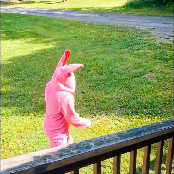 Meet your Posher, Miranda - Picture 6 of 12